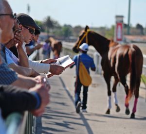 horse-racing-1692364_1920